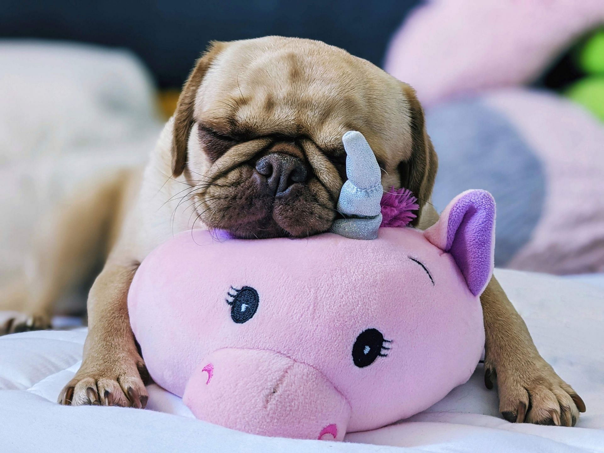 Lowers the symptoms of stress (Image via Unsplash/Rebecca Campbell)